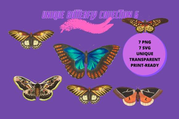 Unique Butterfly and Moth Graphics for Real Crafting Projects