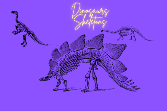 Unique Dinosaur Skeletons Collection – A Dynamic Design Asset for Content Creators